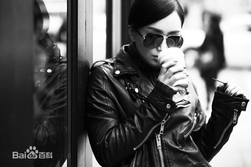 秦岚(Qin Lan)精选图册