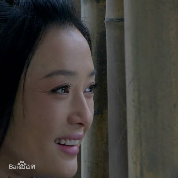 最全秦岚(Qin Lan)在《楚汉传奇》饰演的吕后中的壁纸
