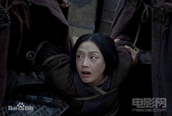 最新秦岚(Qin Lan)在《王的盛宴》饰演的吕后中的壁纸