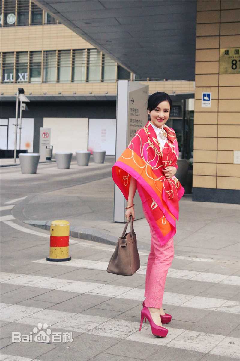 孙宁出席活动素颜照壁纸