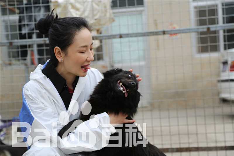 孙宁参加爱心活动图册