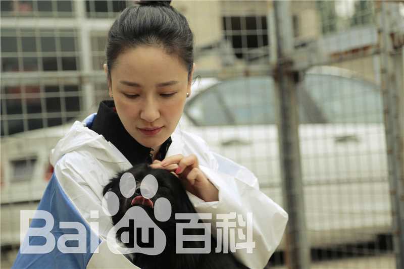 孙宁参加爱心活动图册