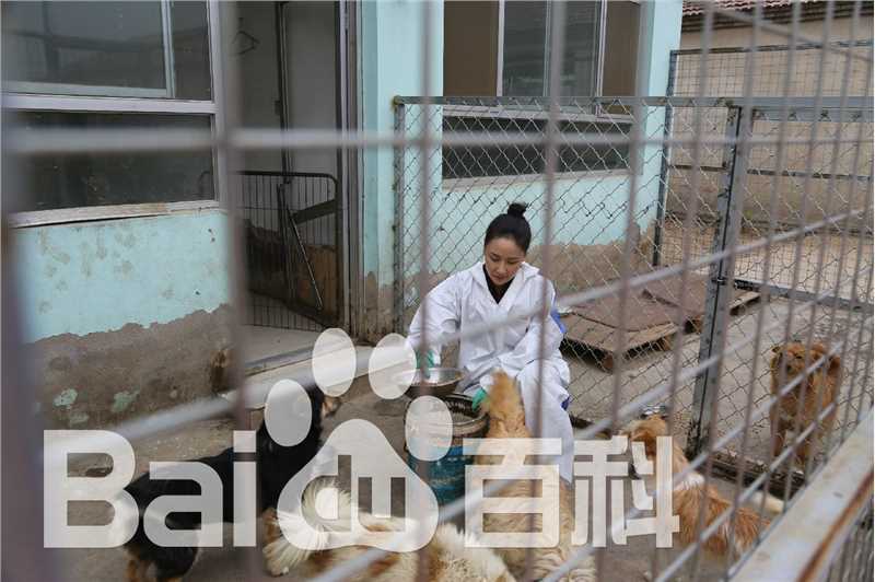 孙宁参加爱心活动图册