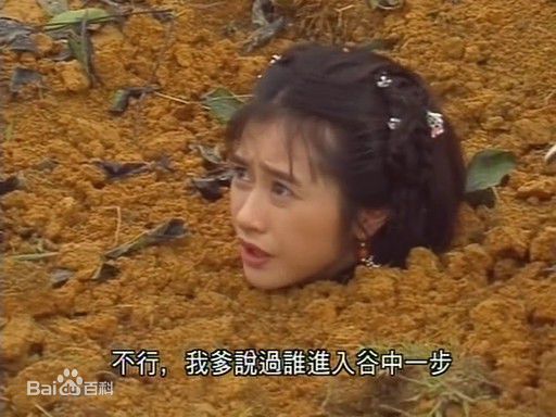 何美钿(Hingher HE)参演电视作品（1996-2011年）壁纸壁纸