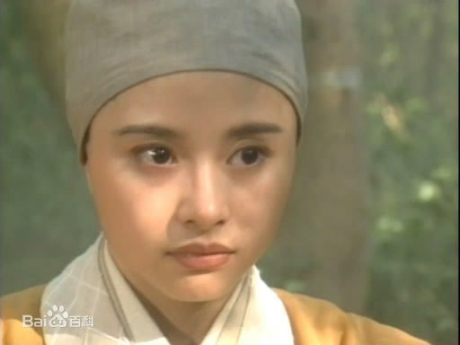 何美钿(Hingher HE)参演电视作品（1996-2011年）壁纸壁纸