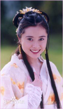 何美钿(Hingher HE)参演电视作品（1996-2011年）壁纸壁纸