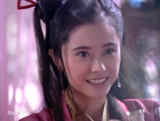 何美钿(Hingher HE)参演电视作品（1996-2011年）壁纸壁纸