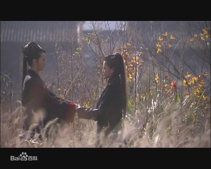 王艳(Rebecca)2009年《流星蝴蝶剑》最全剧照