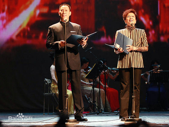 宋春丽2010年活动照素颜照相册