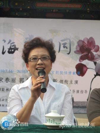 宋春丽2010年活动照素颜照相册