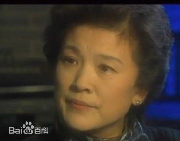 宋春丽《血色誓言》最全剧照