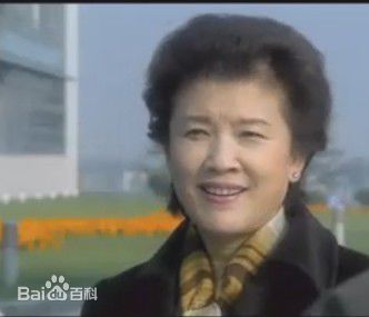 宋春丽《血色誓言》最全剧照