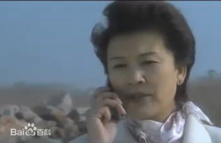 宋春丽《血色誓言》最全剧照