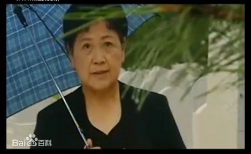 宋春丽《离婚再婚》最全剧照