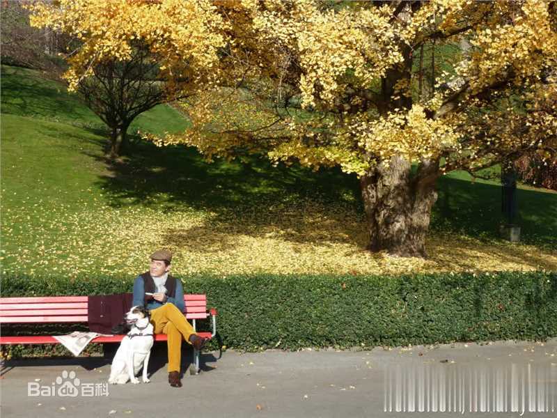 陈宝国体验瑞士慢生活图片图册