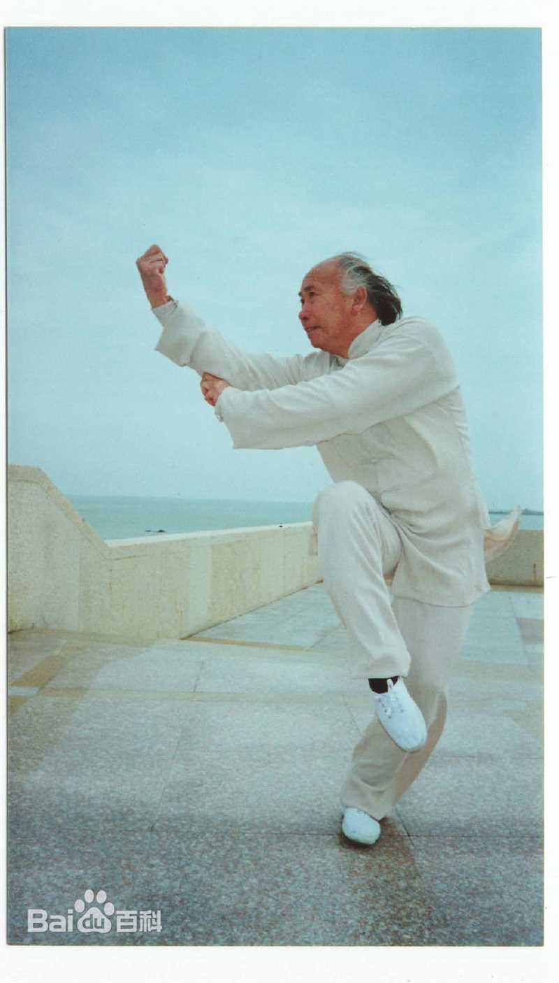 最全苗乙乙壁纸