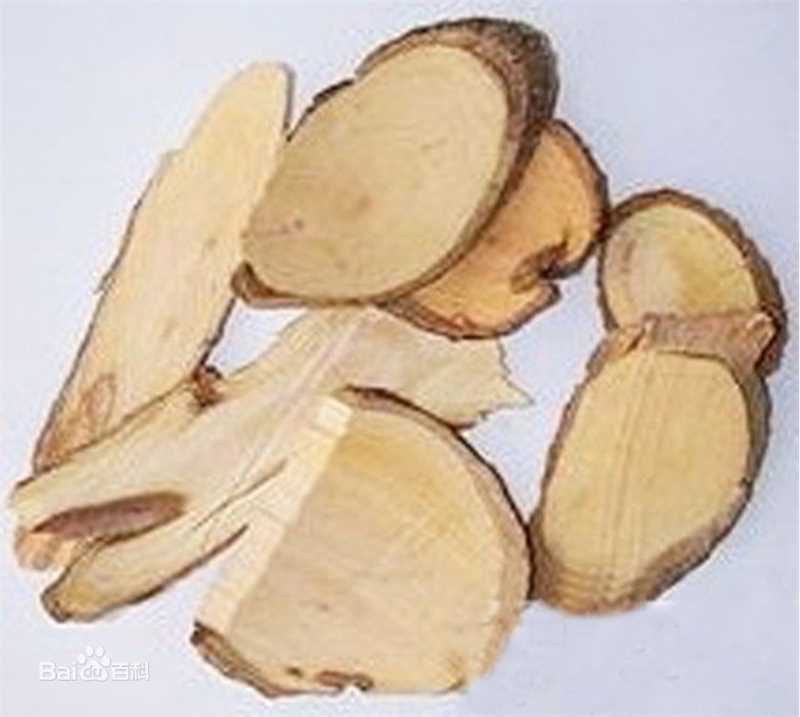 杨梅根图片图集