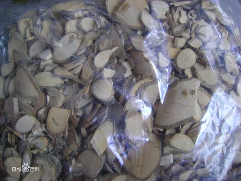 杨梅根图片图集