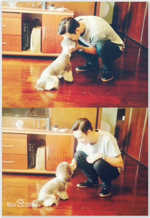 陈伟霆(William Chan)生活照壁纸壁纸