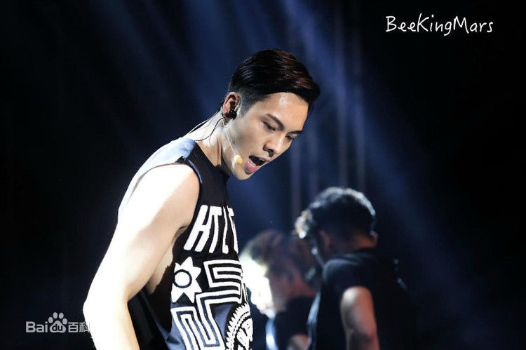 陈伟霆(William Chan)演唱会图集图片图集