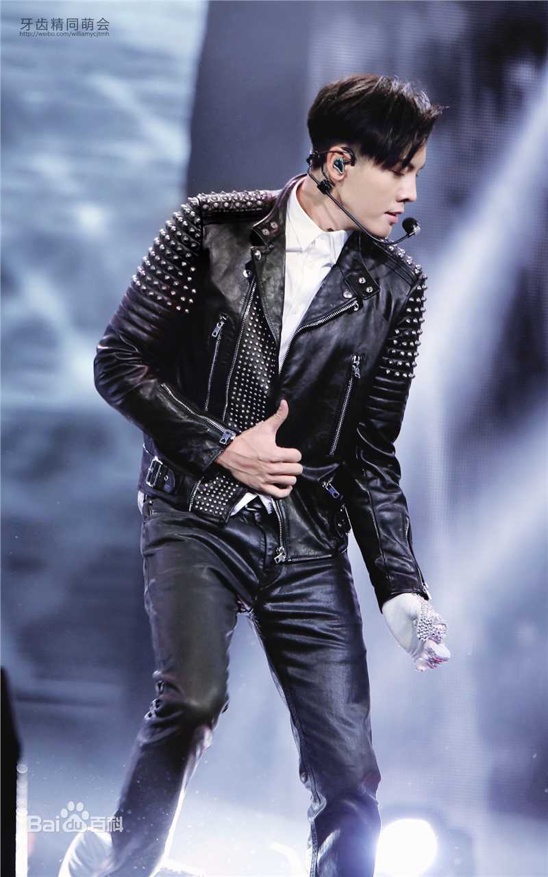 陈伟霆(William Chan)演唱会图集图片图集