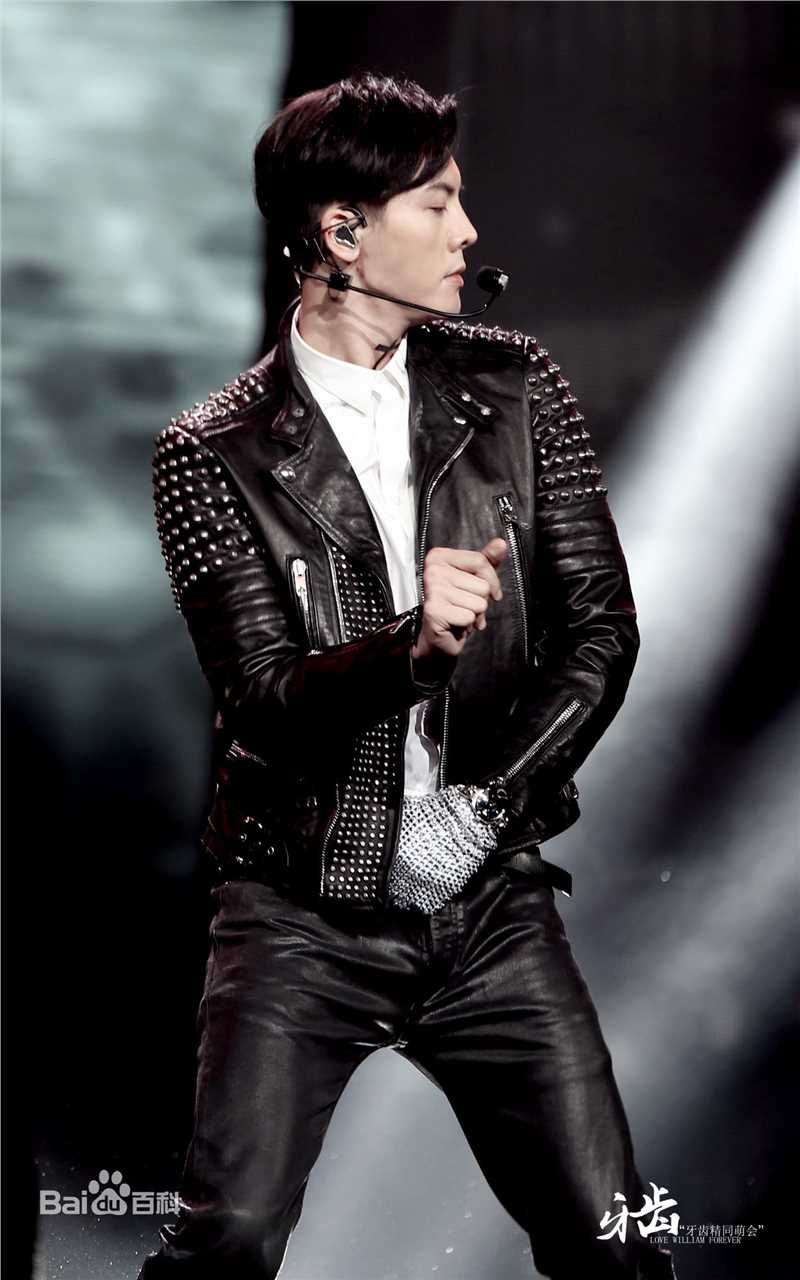 陈伟霆(William Chan)演唱会图集图片图集