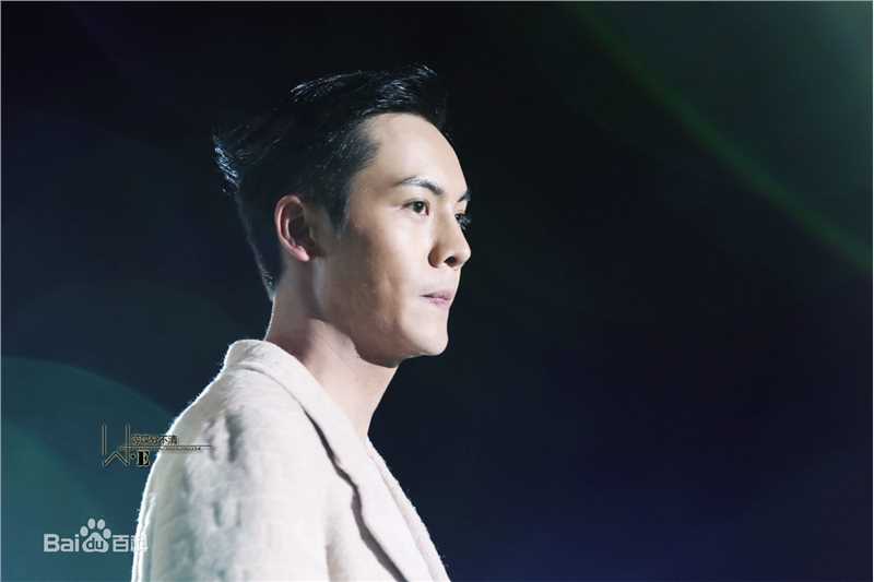陈伟霆(William Chan)演唱会图集图片图集