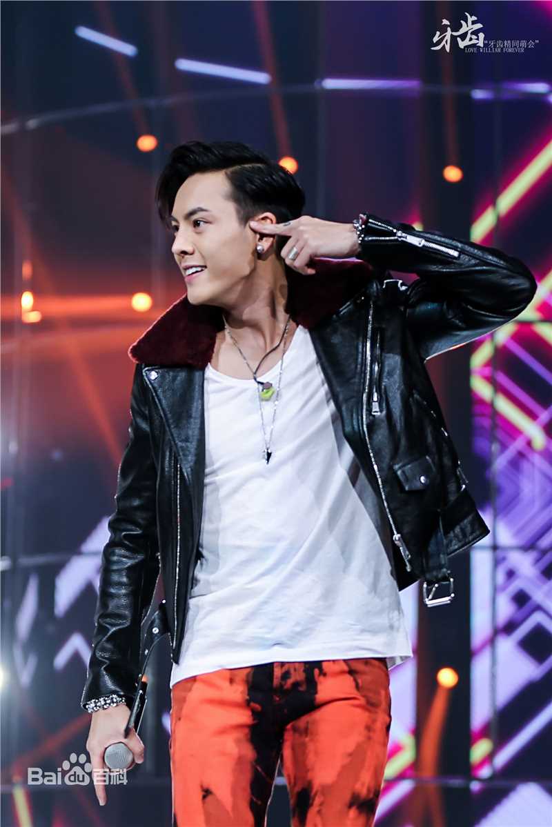 陈伟霆(William Chan)演唱会图集图片图集