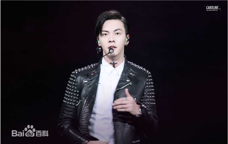 陈伟霆(William Chan)演唱会图集图片图集