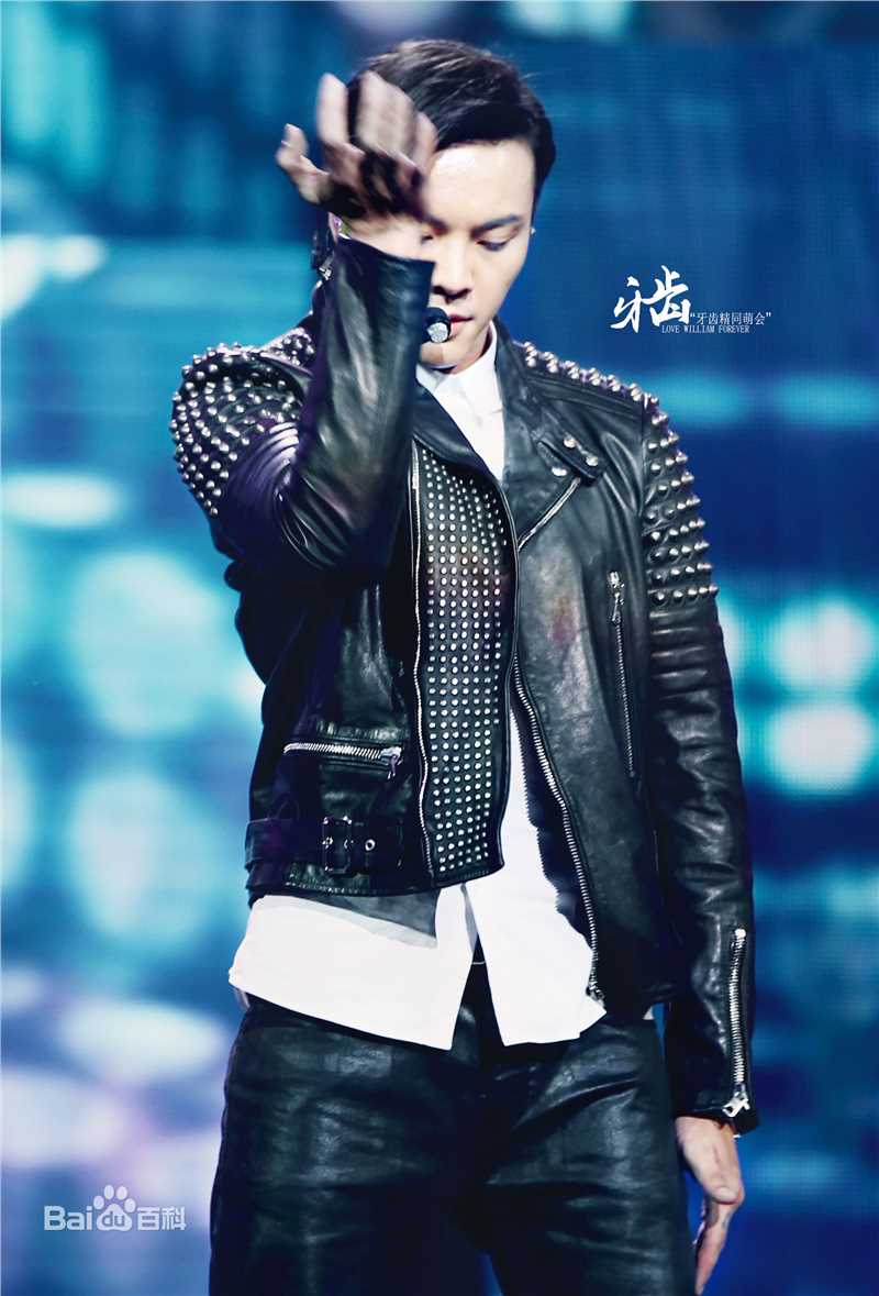 陈伟霆(William Chan)演唱会图集图片图集