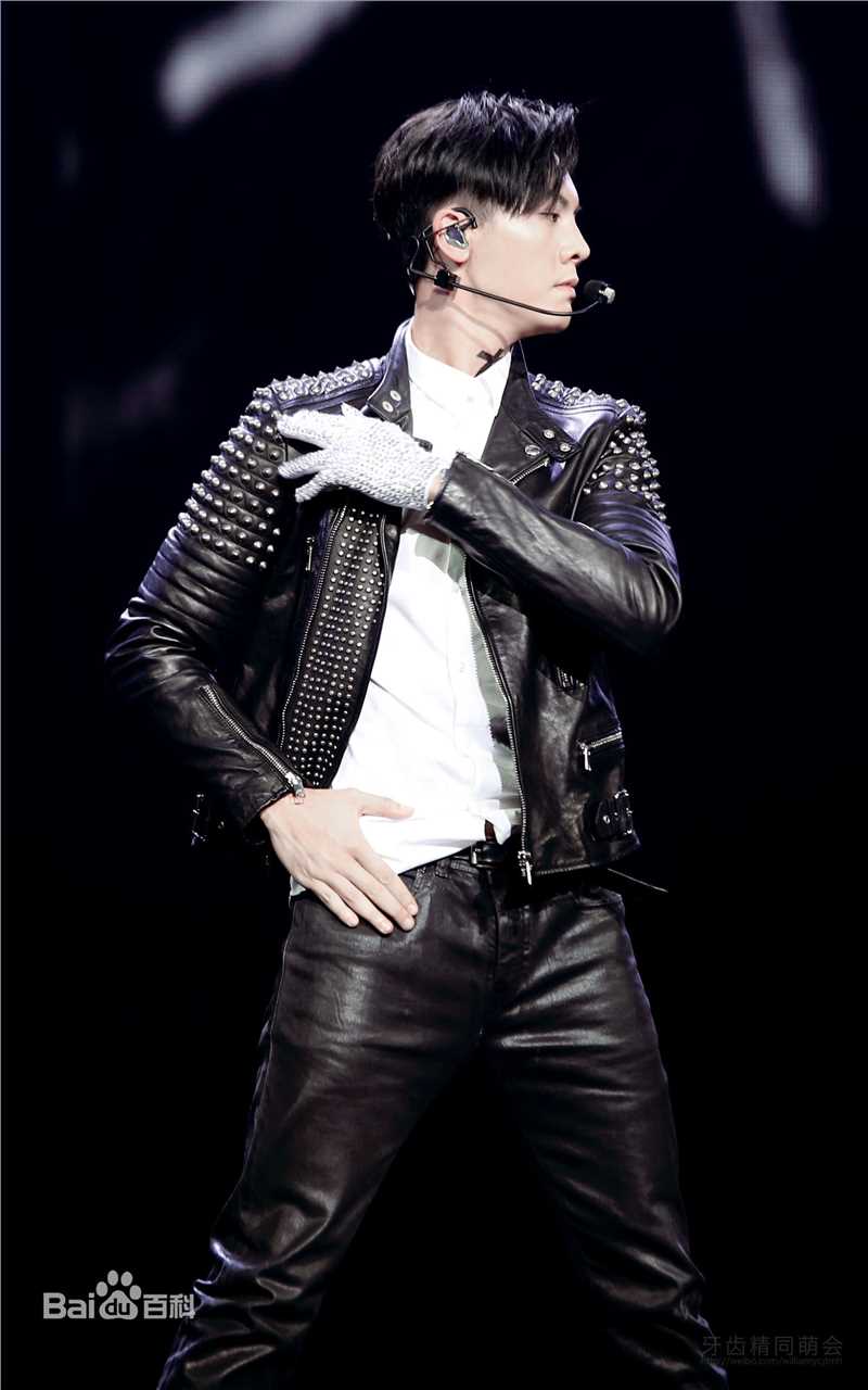 陈伟霆(William Chan)演唱会图集图片图集
