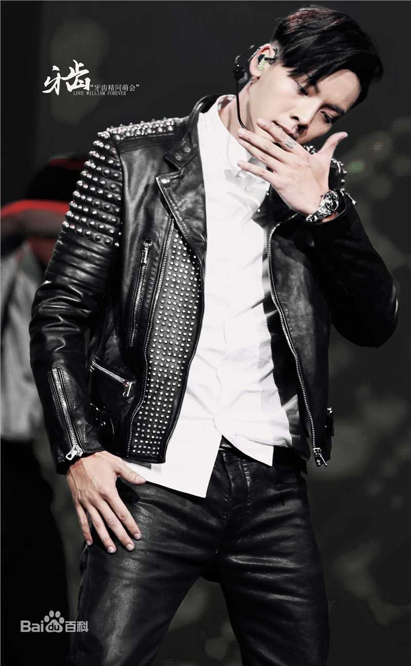 陈伟霆(William Chan)演唱会图集图片图集