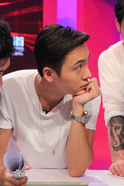 陈伟霆(William Chan)综艺节目图集素颜照相册