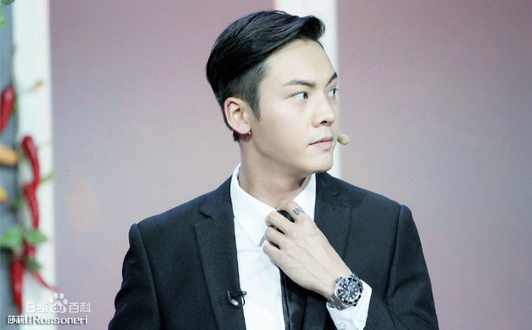 陈伟霆(William Chan)综艺节目图集素颜照相册