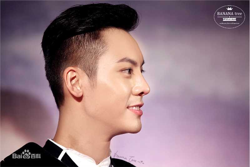 陈伟霆(William Chan)综艺节目图集素颜照相册