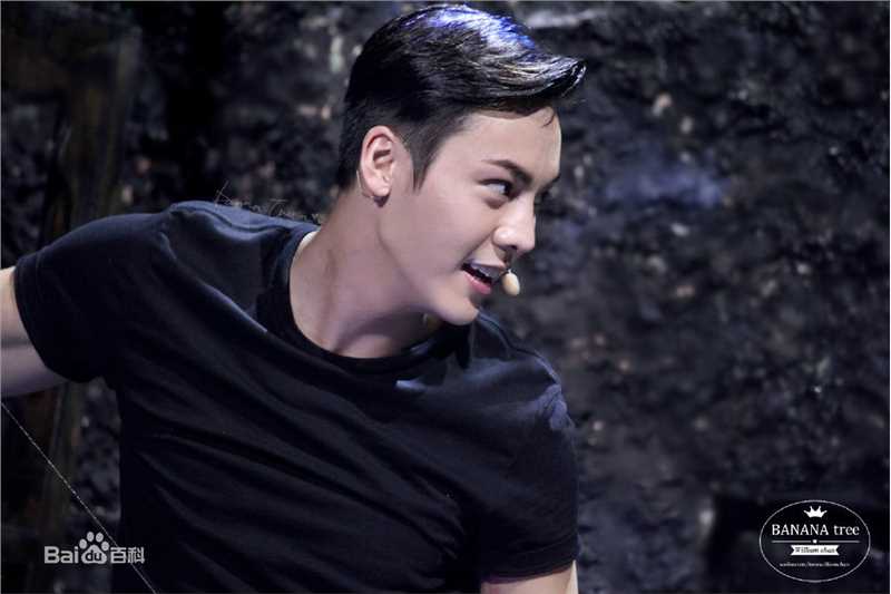 陈伟霆(William Chan)综艺节目图集素颜照相册