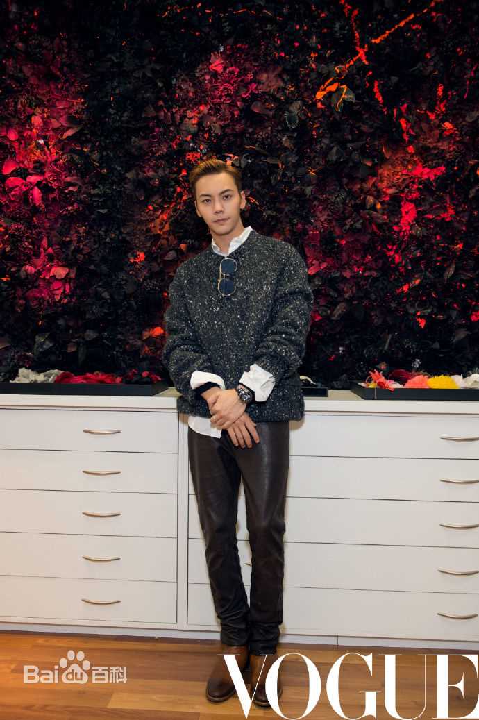 高清陈伟霆(William Chan)在《Vogue服饰与美容》中的图集