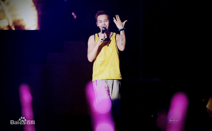 陈伟霆(William Chan)Inside Me演唱会性感图片图集