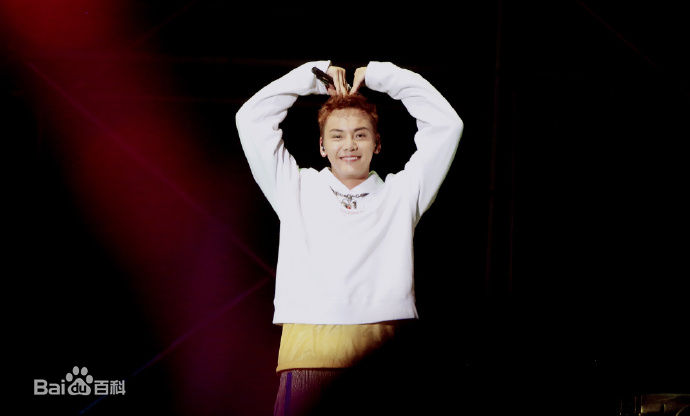 陈伟霆(William Chan)Inside Me演唱会性感图片图集