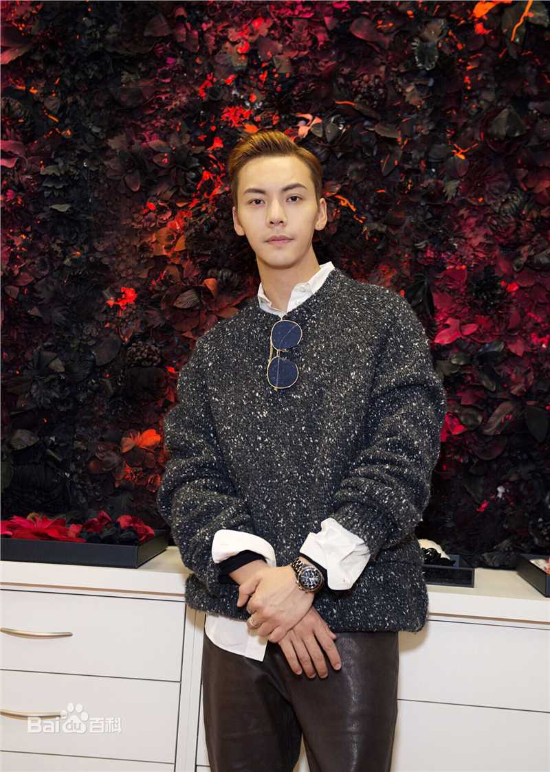 陈伟霆(William Chan)巴黎参观香奈儿手工坊图册