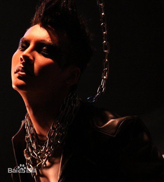 最新陈伟霆(William Chan)在个人专辑《 Heads or Tails》中的图集