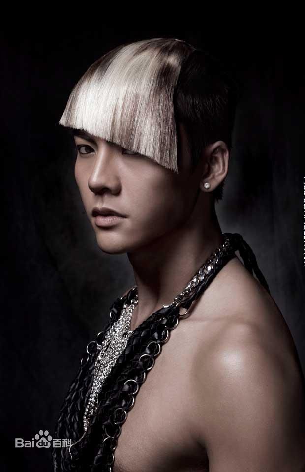 最新陈伟霆(William Chan)在个人专辑《 Heads or Tails》中的图集