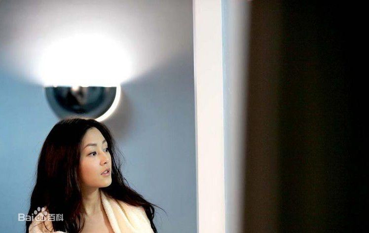 精选卫诗雅(Michelle)在2010年《前度》中的图册