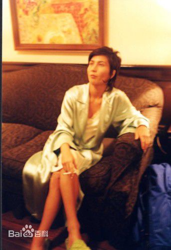 精选何超仪(Josie Ho)