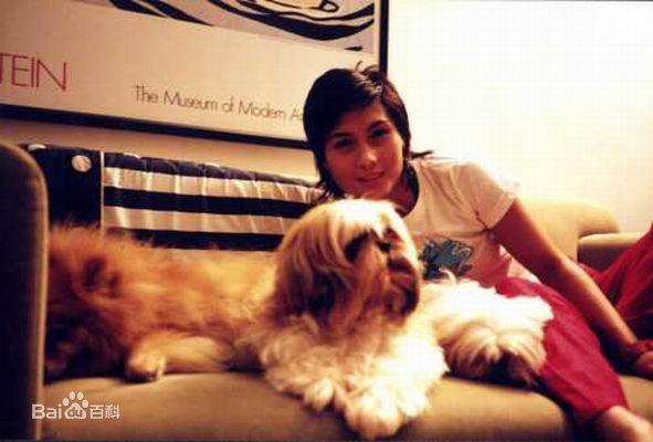 最新何超仪(Josie Ho)精彩图册