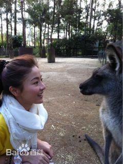 贡米澳洲之行生活图片图册