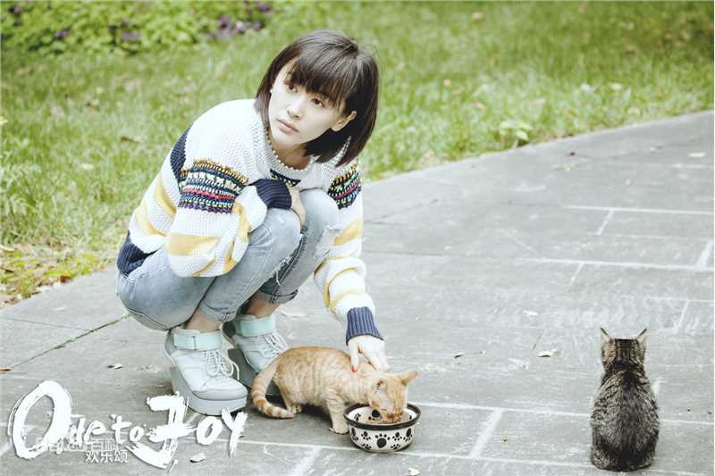 最全王子文(Olivia)在《欢乐颂1》饰曲筱绡中的壁纸