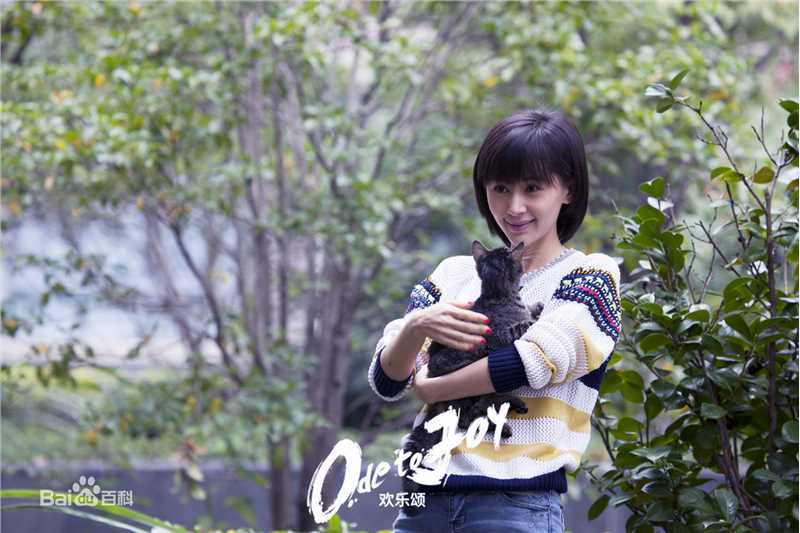 最全王子文(Olivia)在《欢乐颂1》饰曲筱绡中的壁纸