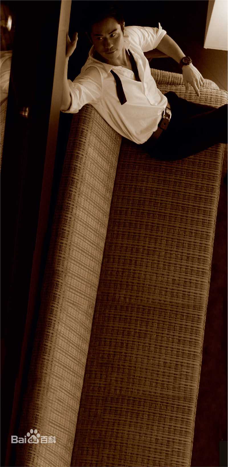 郑嘉颖(Kevin Cheng)2009年新闻图性感图片图集