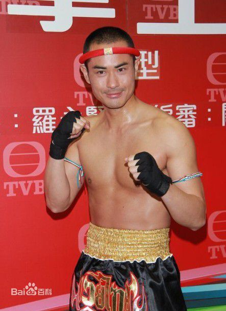 郑嘉颖(Kevin Cheng)精彩图册